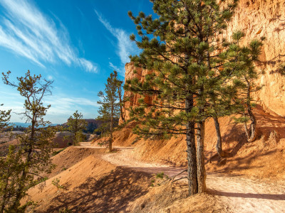 insidebrycecanyon