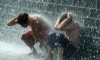 Blog Rain Forum